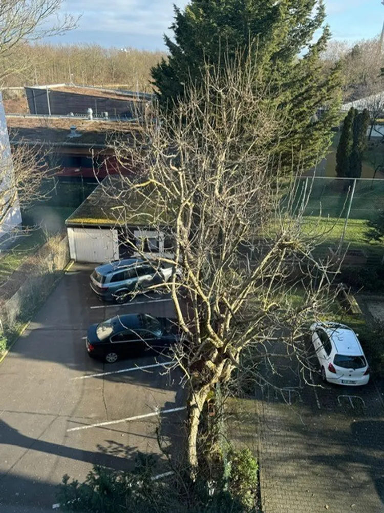 3 Zimmer Wohnung mit 150 m² in Frankfurt am Main – Bild 11