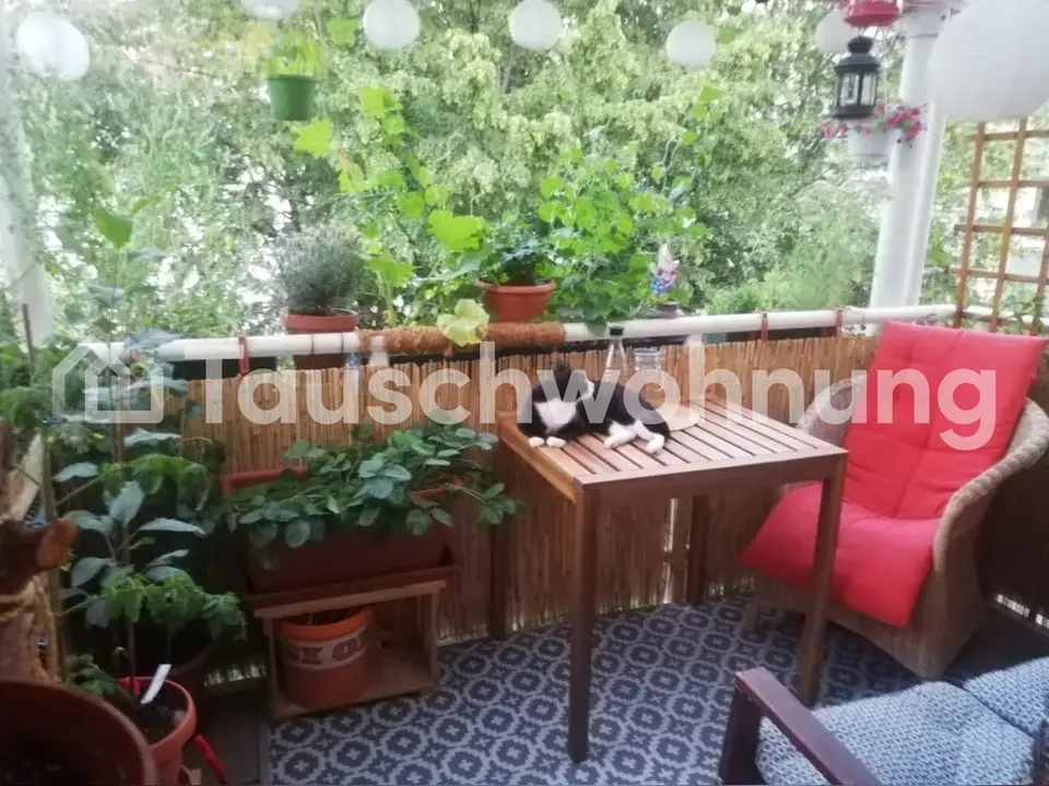 Studio mit 28 m² in Emmendingen – Bild 4