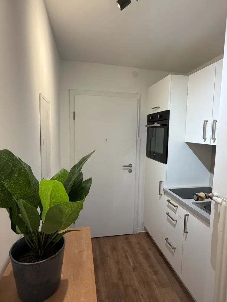1 Zimmer Wohnung mit 27 m² in Nürnberg – Bild 2