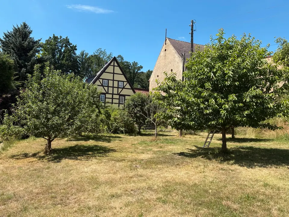 5 Zimmer Haus mit 236 m² in Riesa – Bild 2