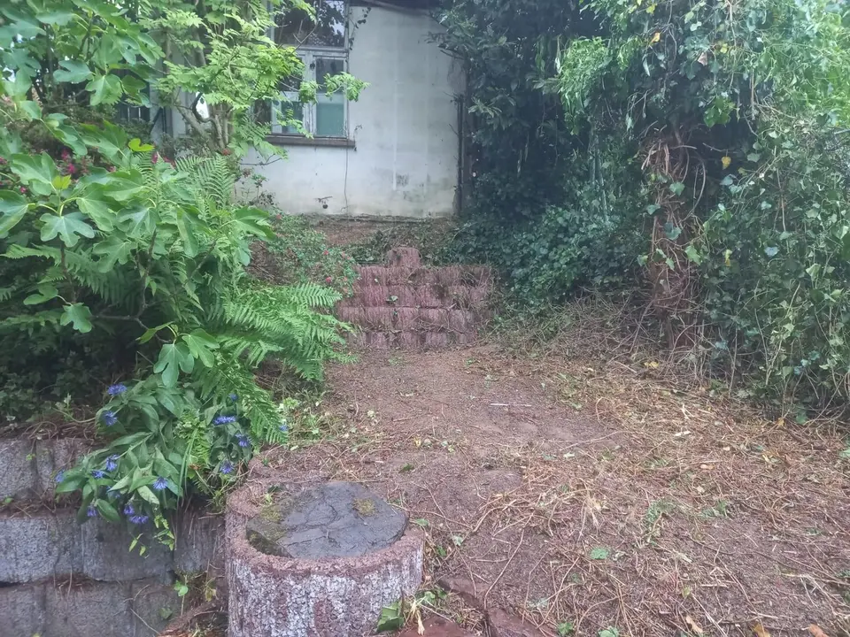 WG-Zimmer mit 120 m² in Heidelberg – Bild 9