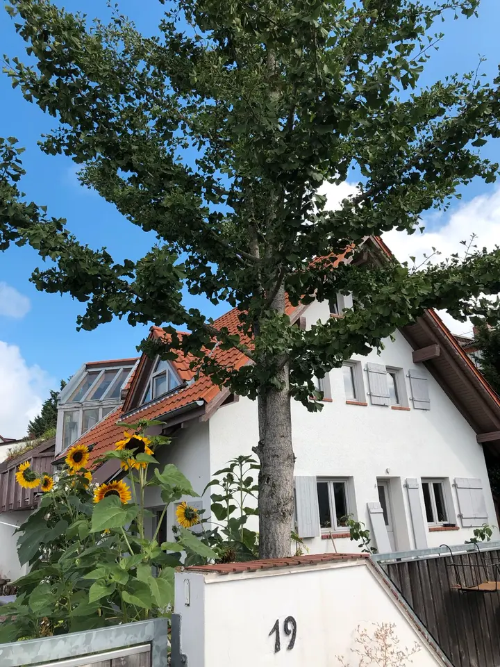 5 Zimmer Haus mit 160 m² in Bensheim – Bild 2