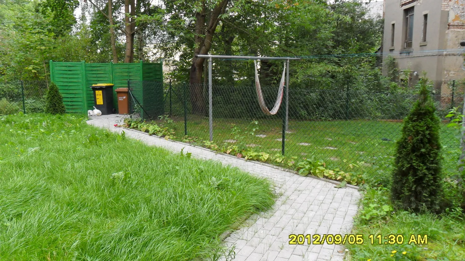 2 room apartment with 55 m² in Chemnitz – Photo 2