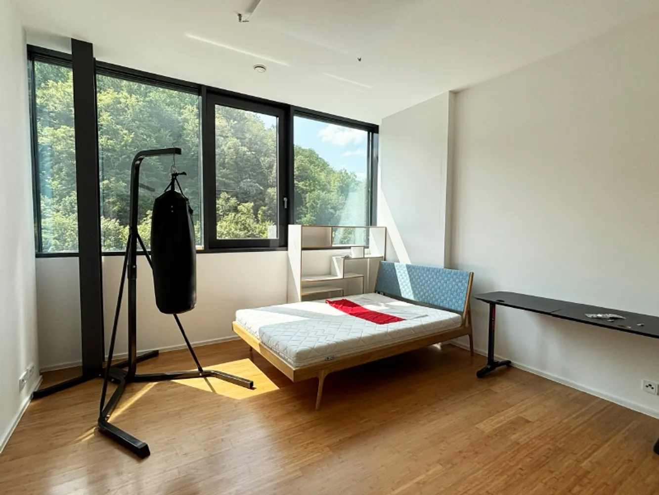 5 Zimmer Wohnung mit 250 m² in Dresden – Bild 12