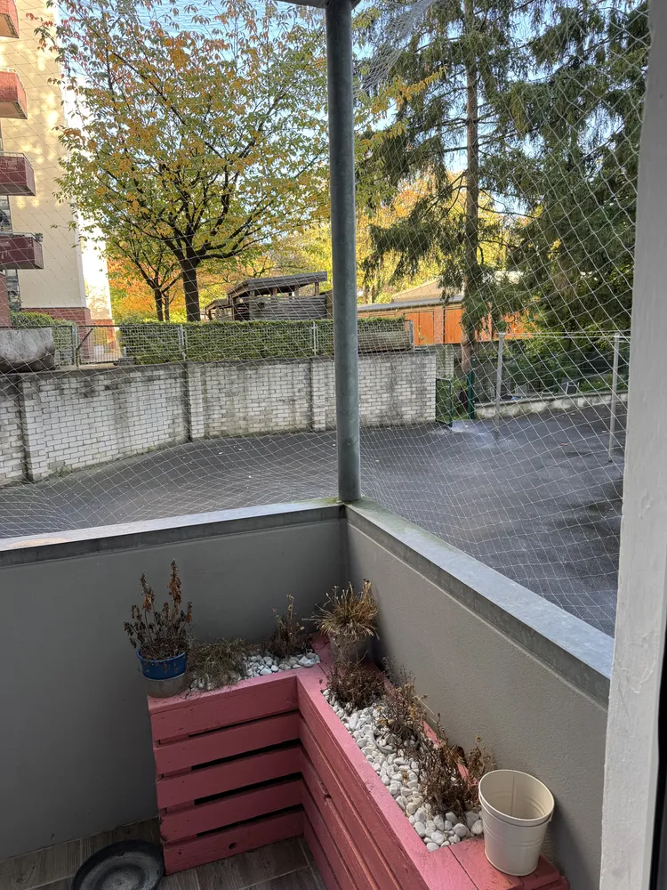 3 Zimmer Wohnung mit 65 m² in Kiel – Bild 3