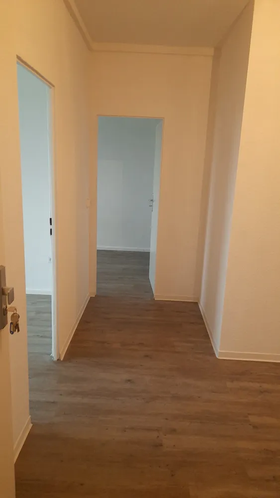 3 Zimmer Wohnung mit 64 m² in Dresden – Bild 3