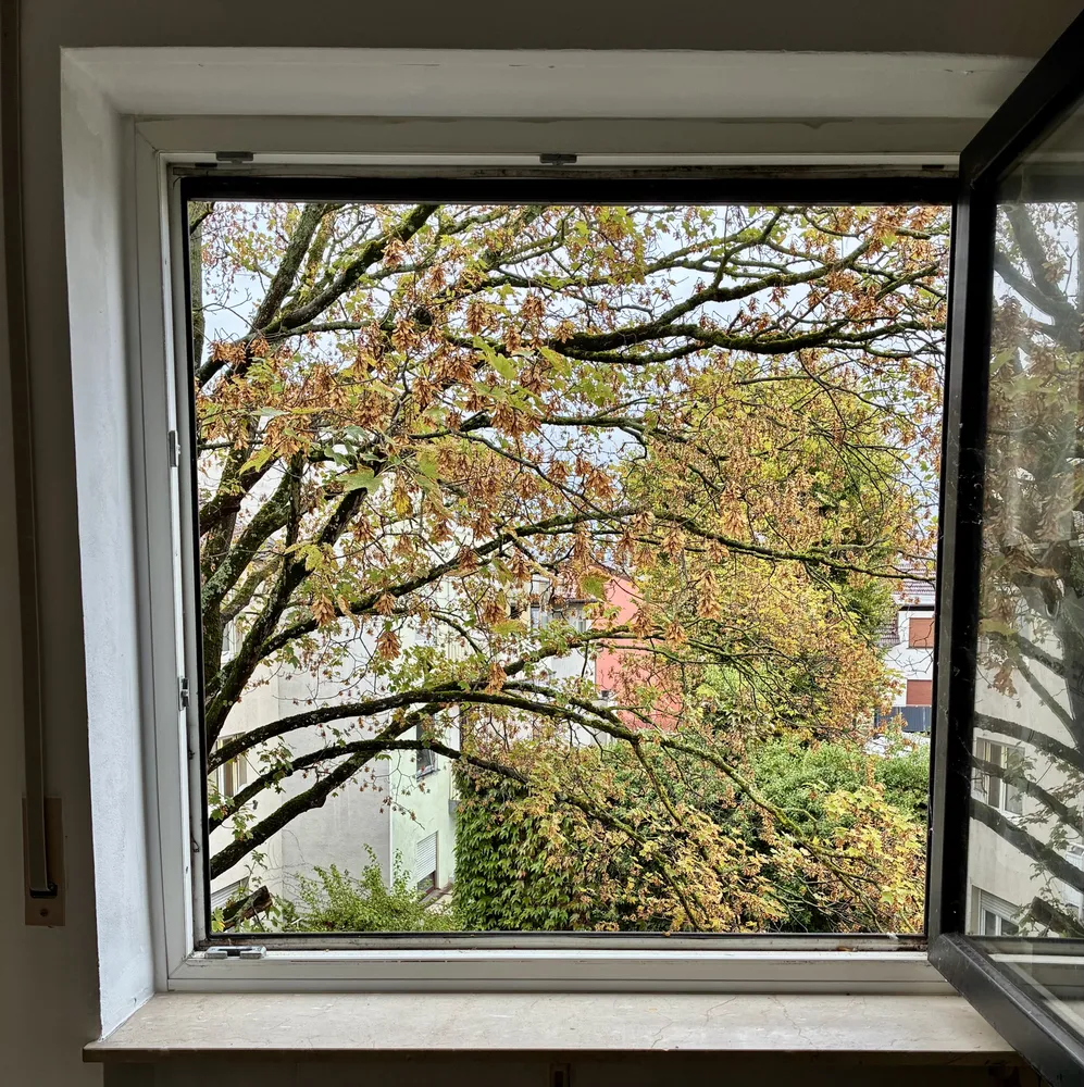 2 Zimmer Wohnung mit 55 m² in Ludwigshafen am Rhein – Bild 6
