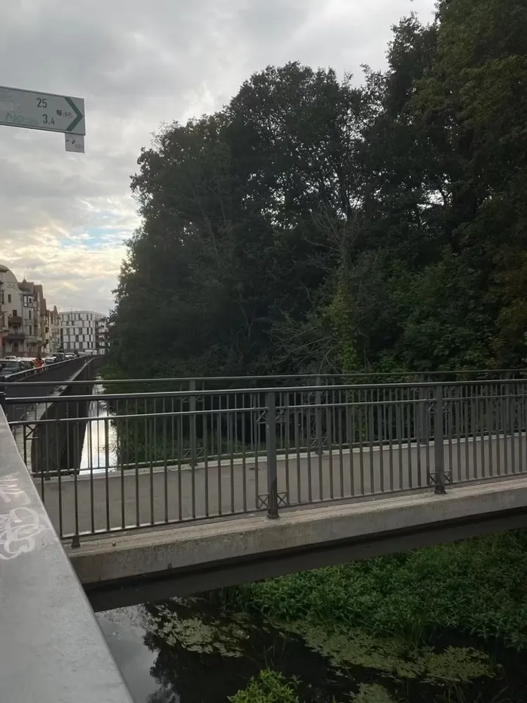 2 Zimmer Wohnung mit 61 m² in Leipzig – Bild 4