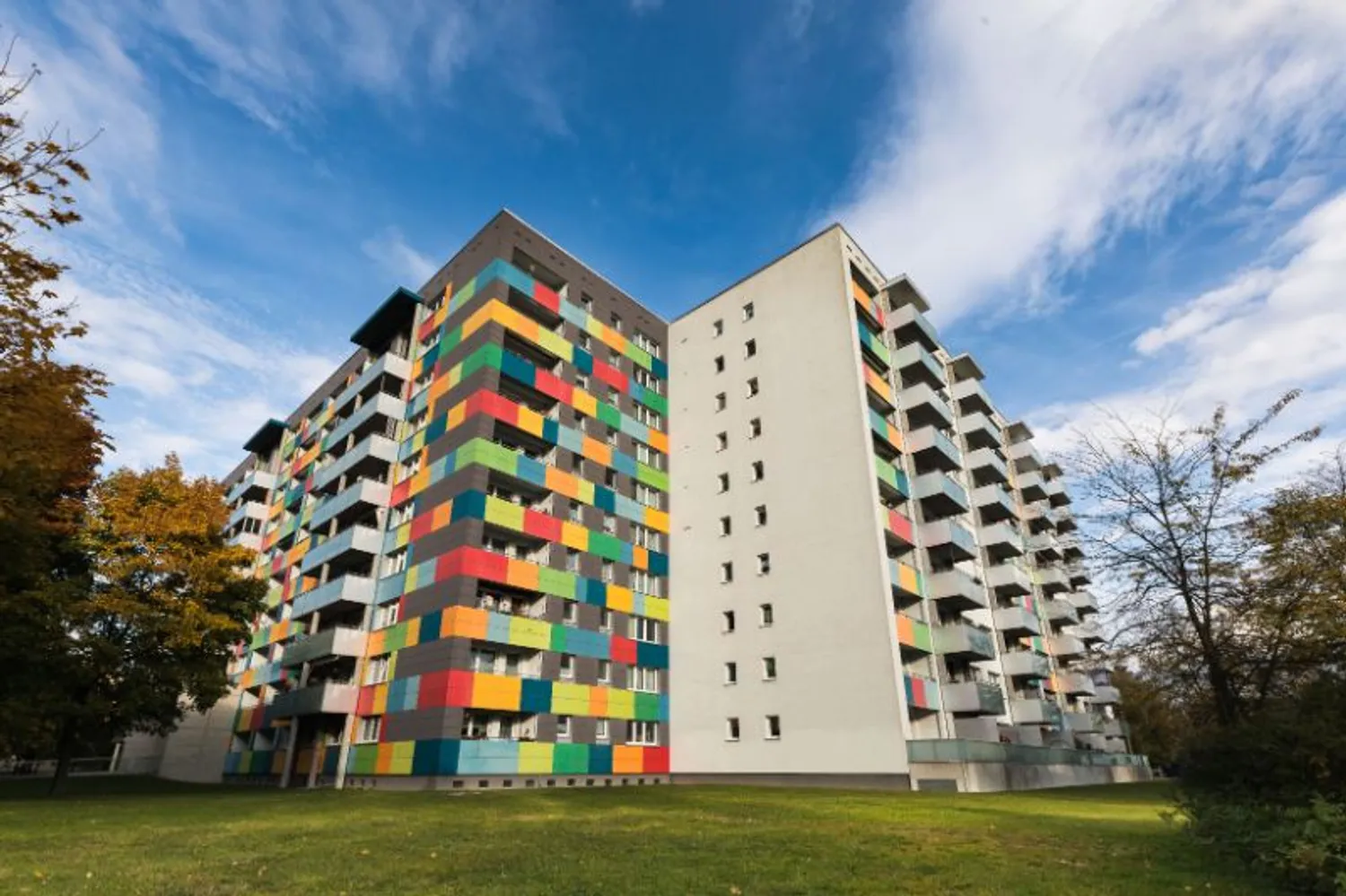 3 Zimmer Wohnung mit 80 m² in Dresden – Bild 3