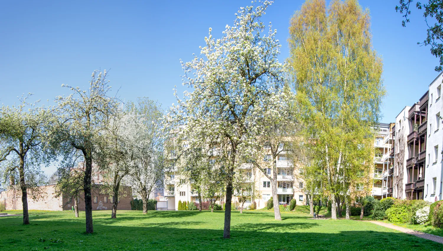 2 Zimmer Wohnung mit 42 m² in Chemnitz – Bild 11