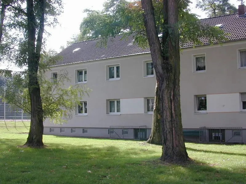 3 Zimmer Wohnung mit 51 m² in Essen – Bild 4