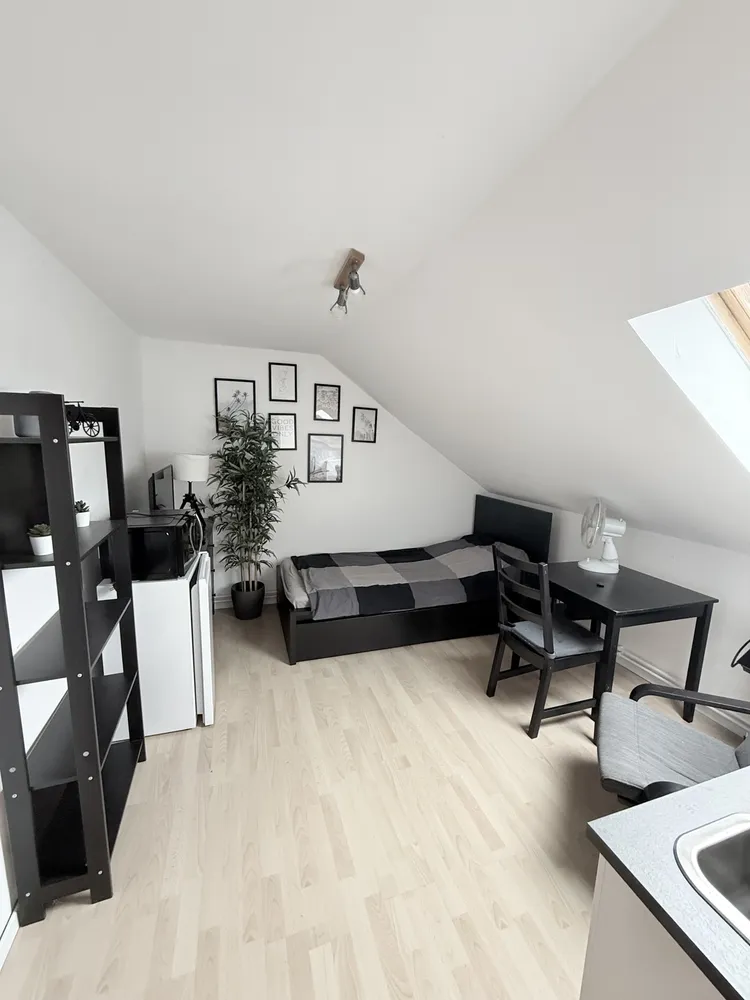 1 Zimmer Wohnung mit 18 m² in Braunschweig – Bild 1