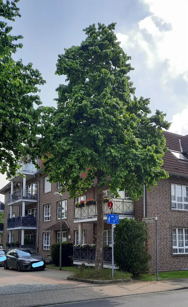 2 Zimmer Wohnung mit 37 m² in Neuss – Bild 7