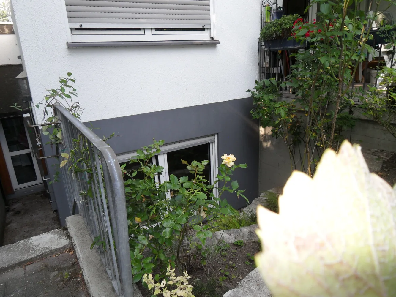 1 Zimmer Wohnung mit 45 m² in Mainz – Bild 5