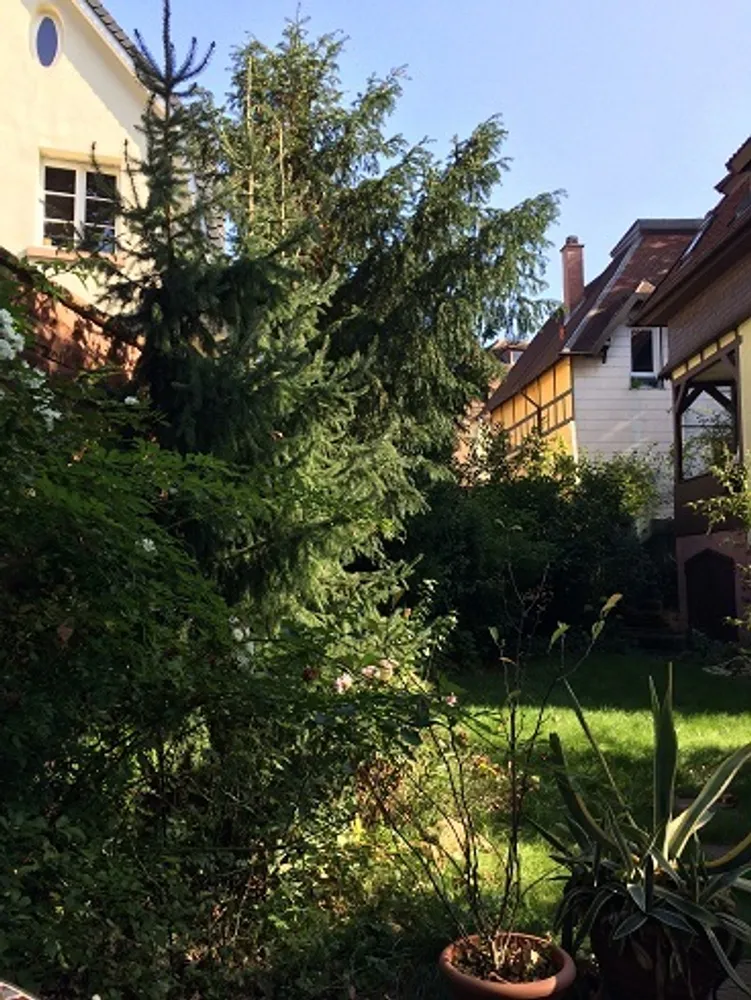2 Zimmer Wohnung mit 90 m² in Mannheim – Bild 9