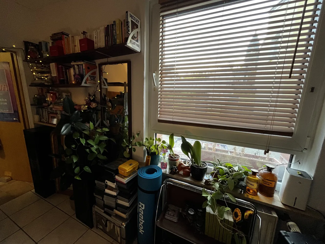 2 Zimmer Wohnung mit 17 m² in Köln – Bild 3