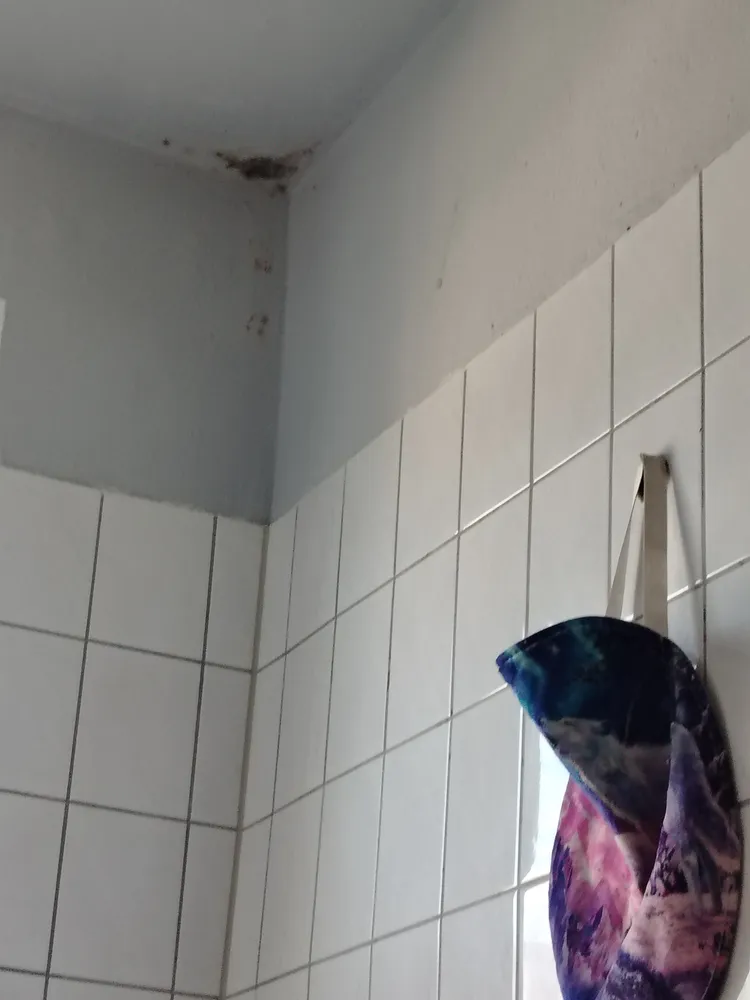 1 Zimmer Wohnung mit 11 m² in Rostock – Bild 2