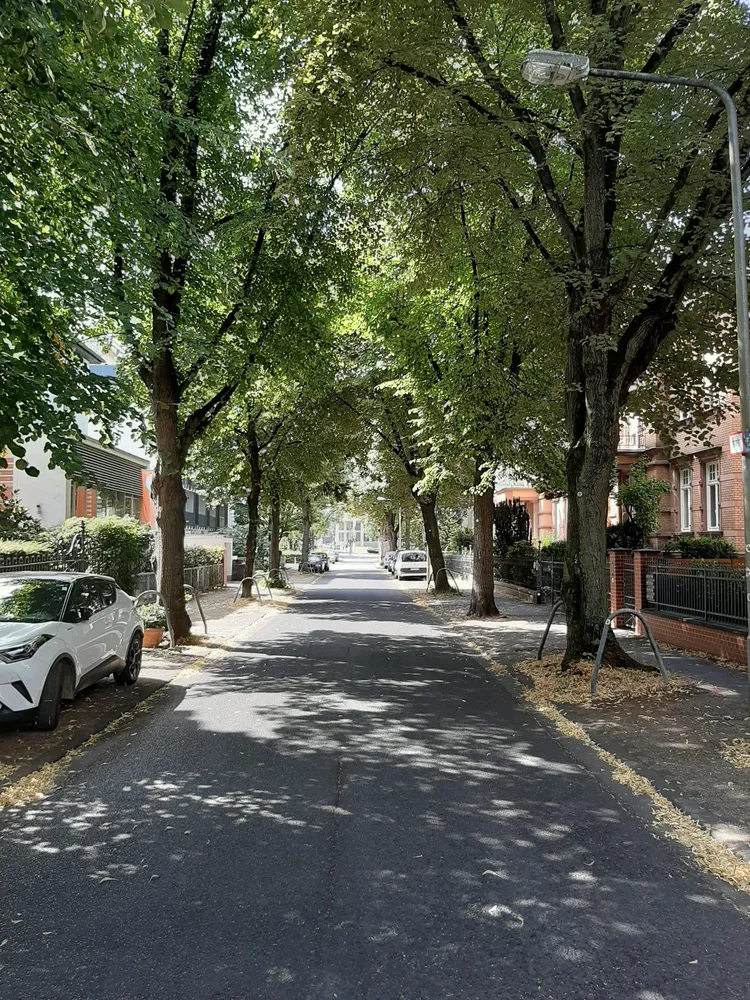 3 Zimmer Wohnung mit 67 m² in Wiesbaden – Bild 7