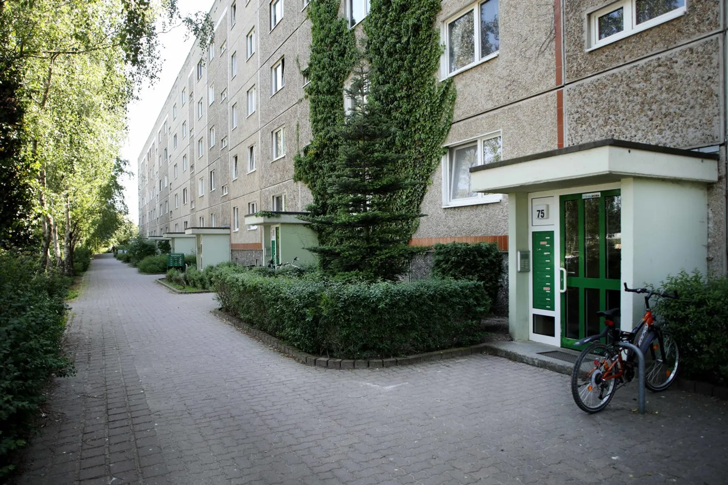 3 room apartment with 62 m² in Neubrandenburg – Photo 1