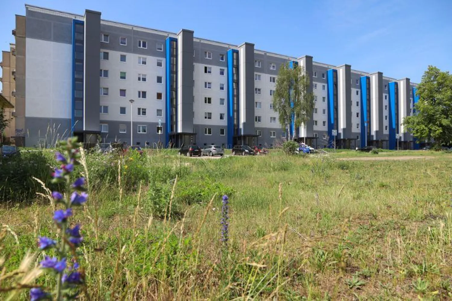 2 Zimmer Wohnung mit 67 m² in Magdeburg – Bild 11
