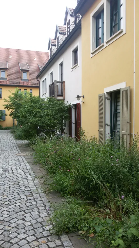 1 room apartment with 30 m² in Radebeul – Photo 4