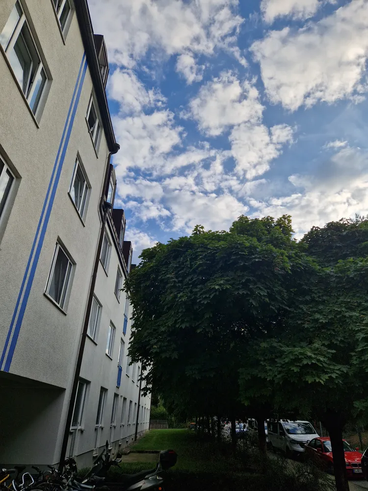 1 Zimmer Wohnung mit 19 m² in Dresden – Bild 1