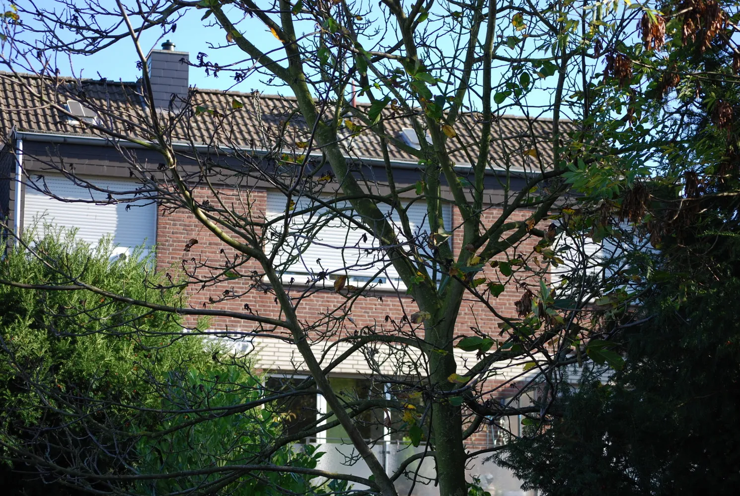 3 Zimmer Wohnung mit 85 m² in Viersen – Bild 1