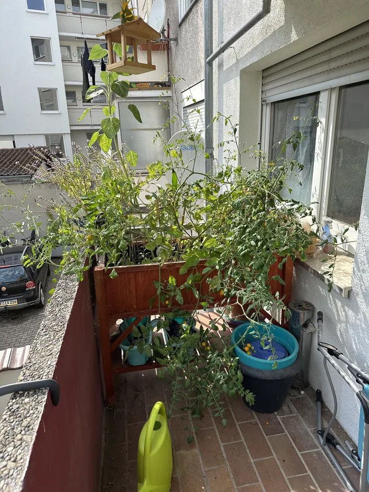 2 Zimmer Wohnung mit 85 m² in Pforzheim – Bild 1