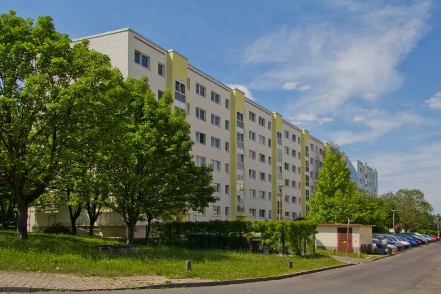 3 room apartment with 64 m² in Dresden – Photo 6