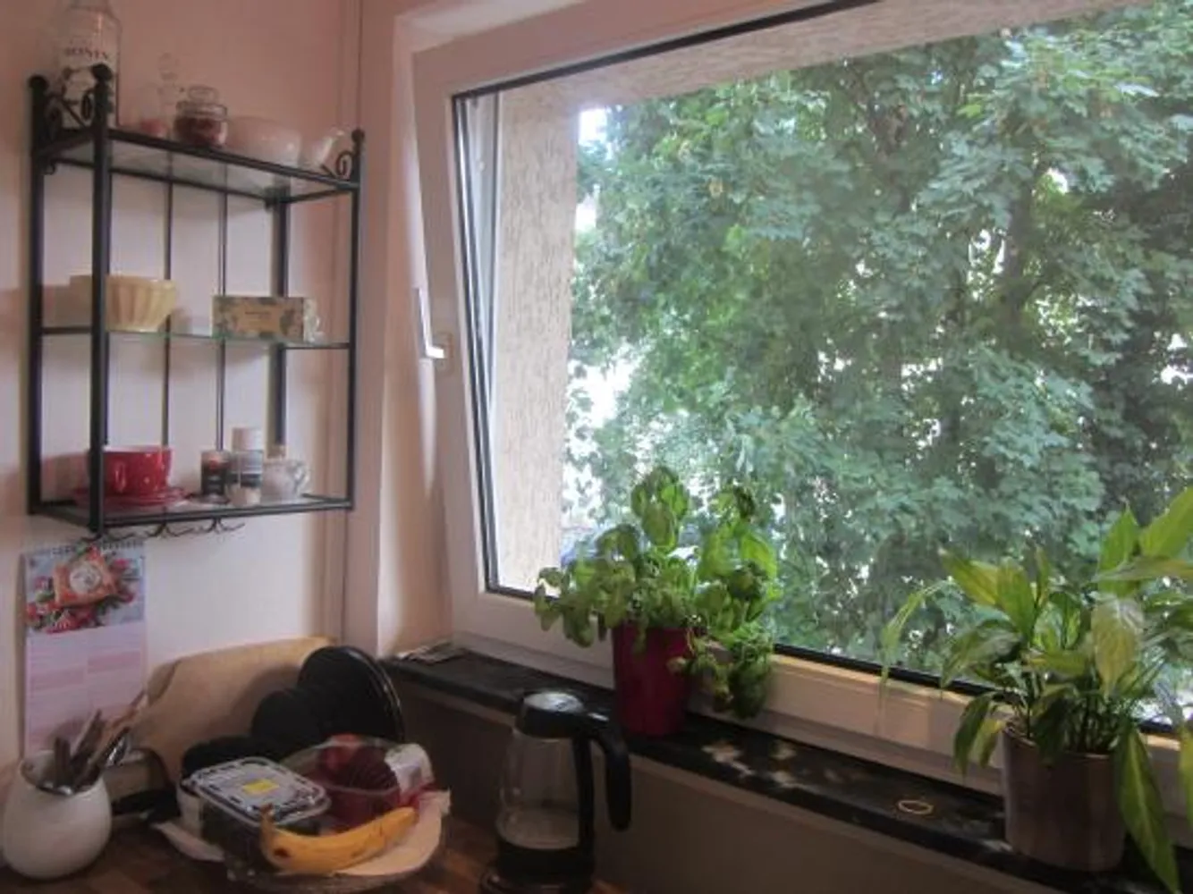 1 Zimmer Wohnung mit 24 m² in Wiesbaden – Bild 6