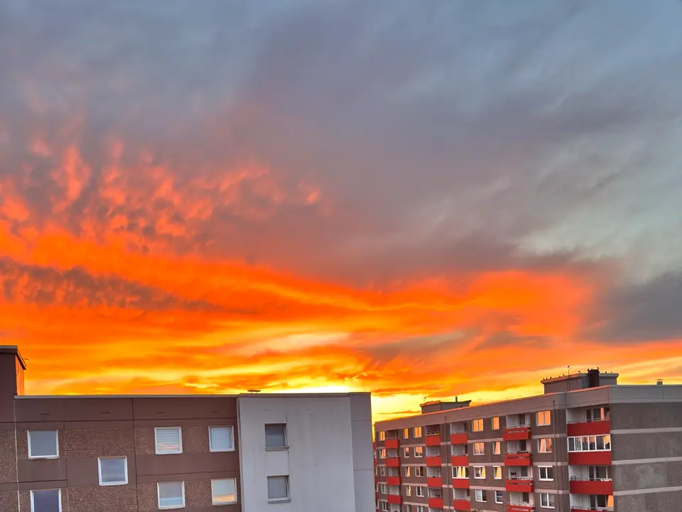 2 Zimmer Wohnung mit 41 m² in Wolfsburg – Bild 7