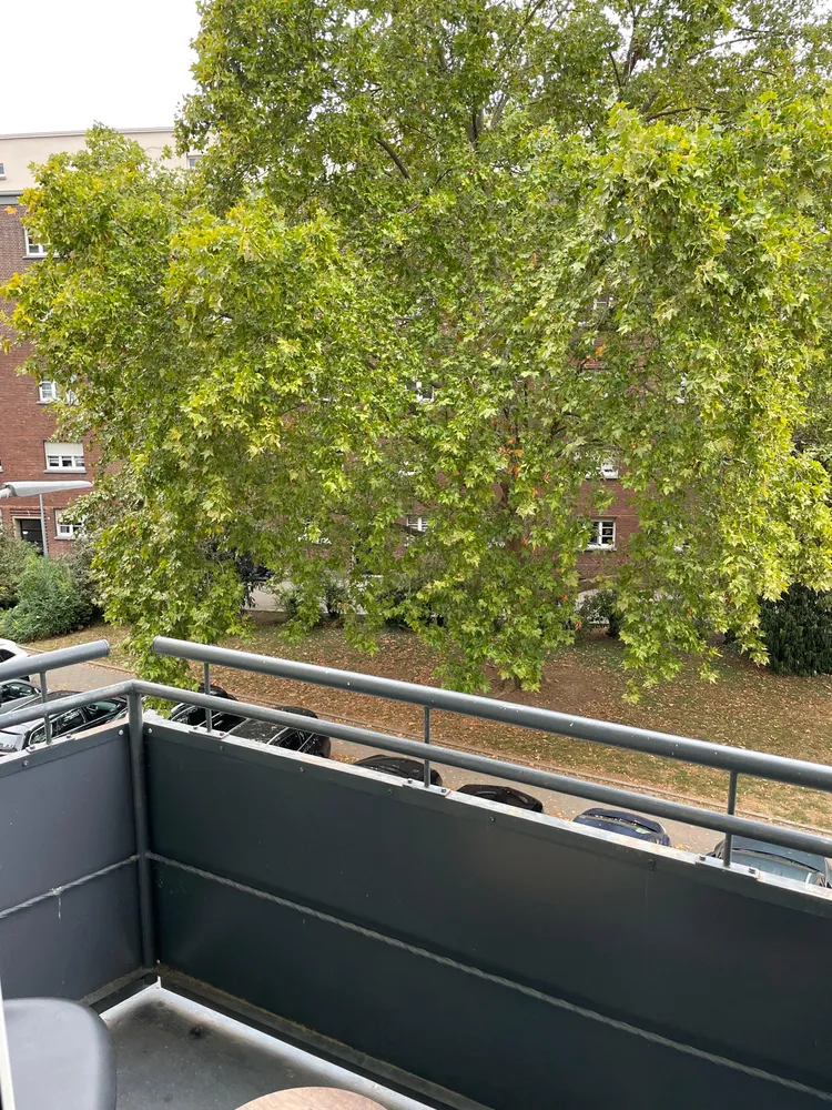 2 Zimmer Wohnung mit 58 m² in Mannheim – Bild 4