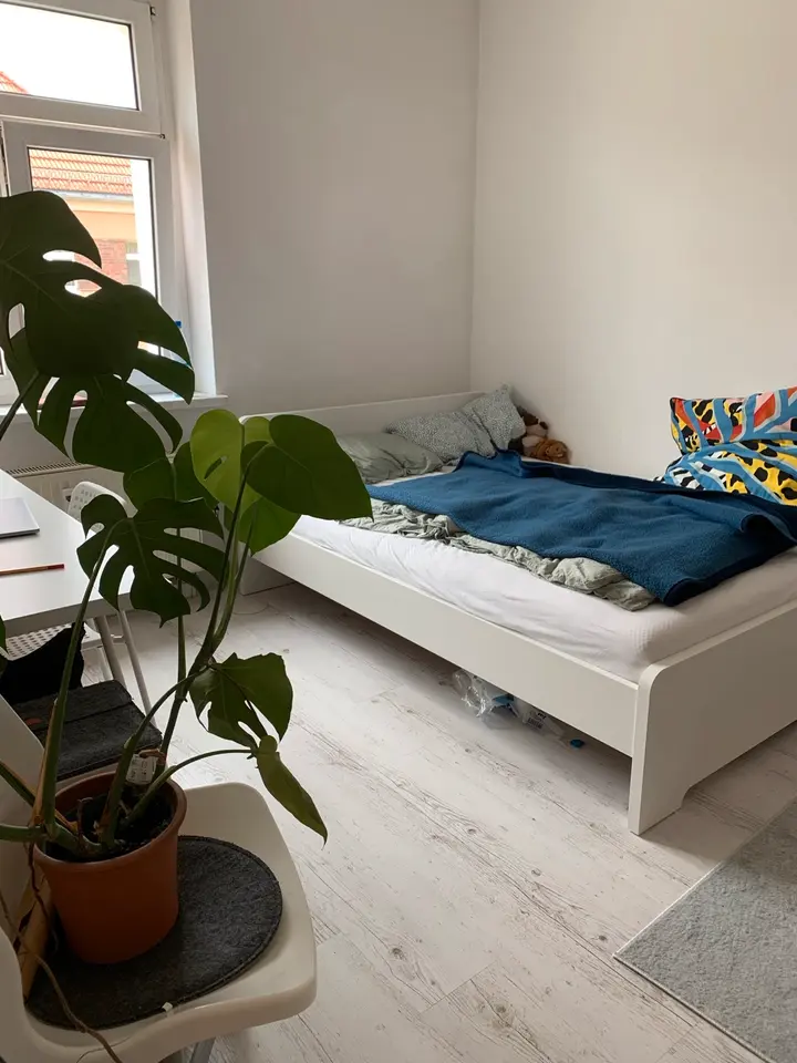 2 Zimmer Wohnung mit 30 m² in Dresden – Bild 3