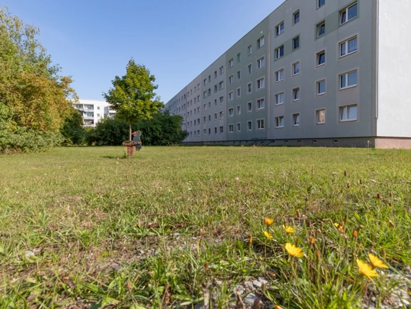2 room apartment with 57 m² in Magdeburg – Photo 5