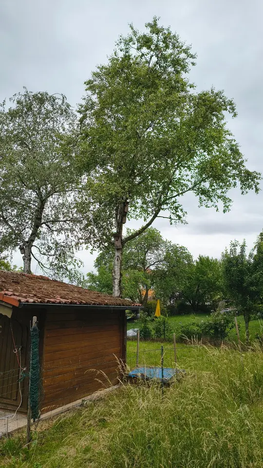 4 Zimmer Wohnung mit 160 m² in Fürstenfeldbruck – Bild 7