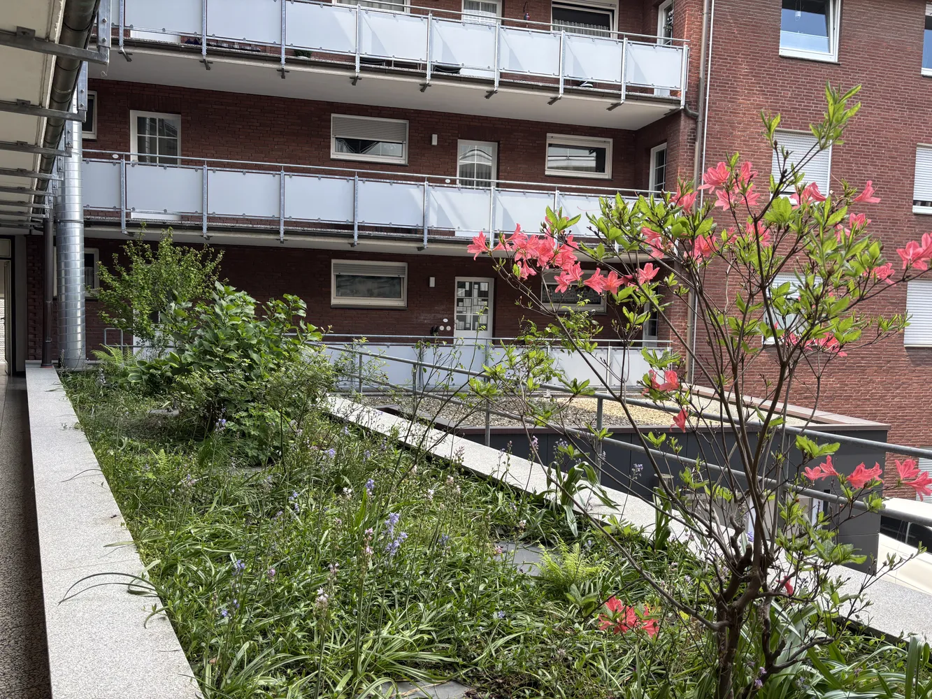 3 Zimmer Wohnung mit 74 m² in Münster – Bild 1