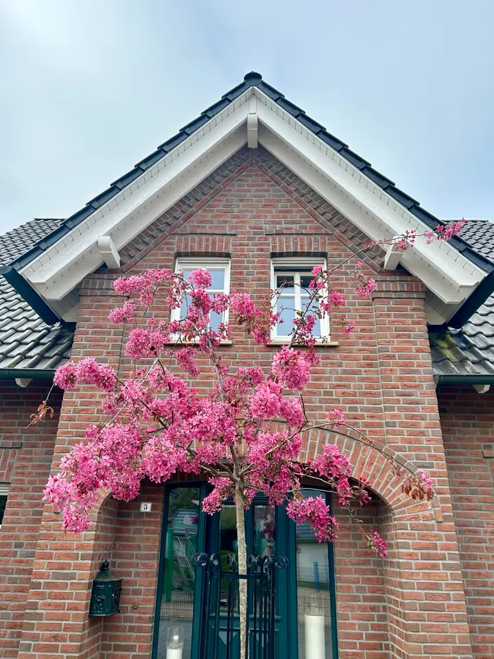 7 Zimmer Haus mit 176 m² in Bocholt – Bild 3