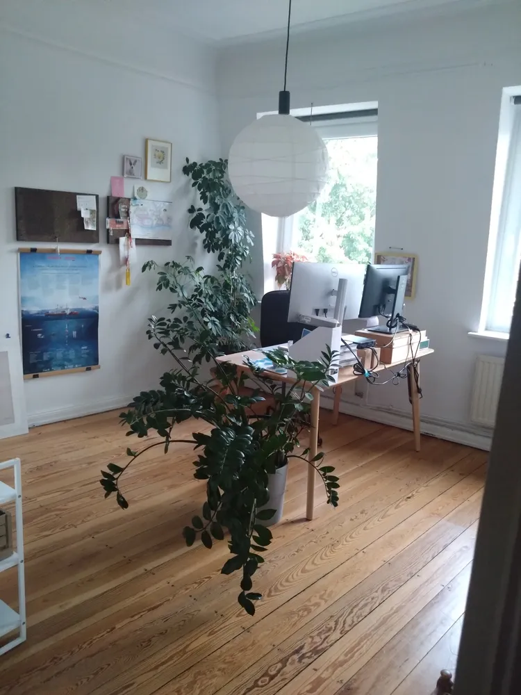 3 Zimmer Wohnung mit 77 m² in Hamburg – Bild 7