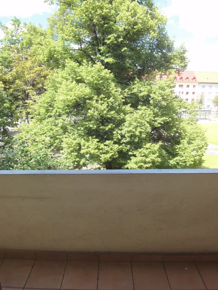3 Zimmer Wohnung mit 92 m² in Erfurt – Bild 8