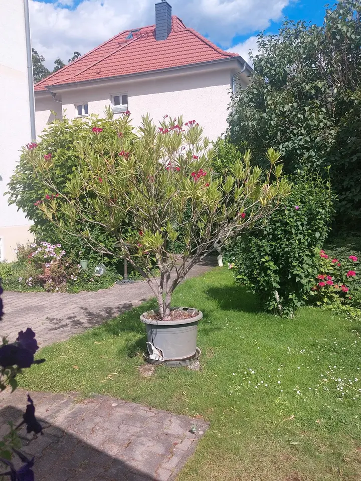 2 Zimmer Wohnung mit 67 m² in Oranienburg – Bild 7