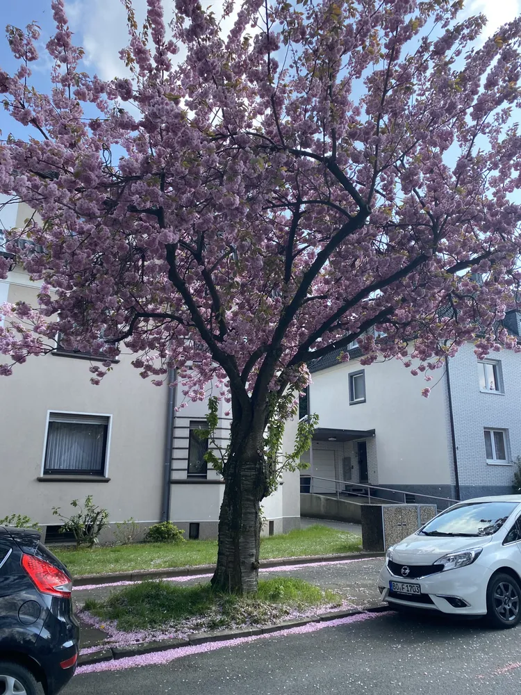 1 Zimmer Wohnung mit 25 m² in Bochum – Bild 2