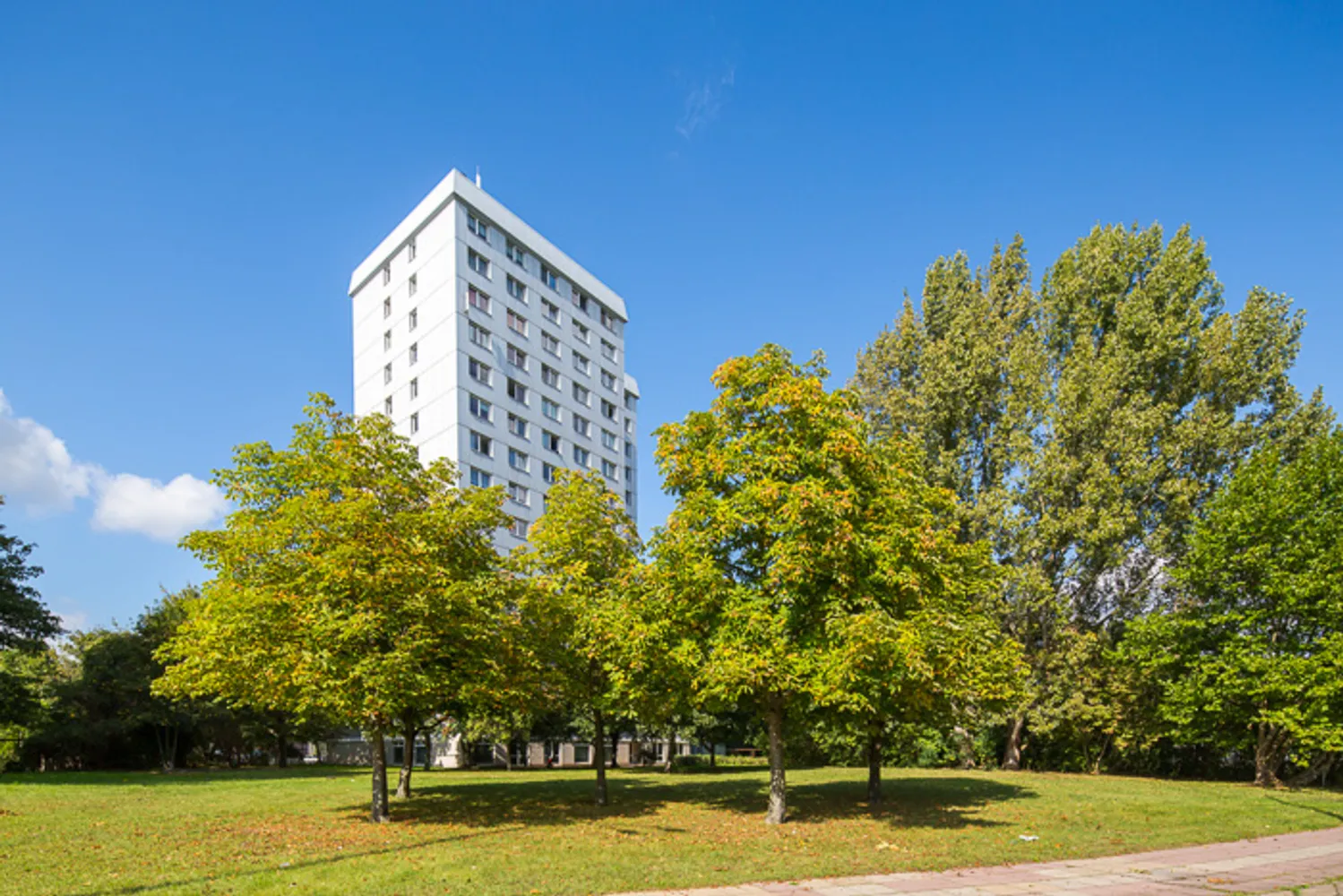 3 Zimmer Wohnung mit 73 m² in Potsdam – Bild 1