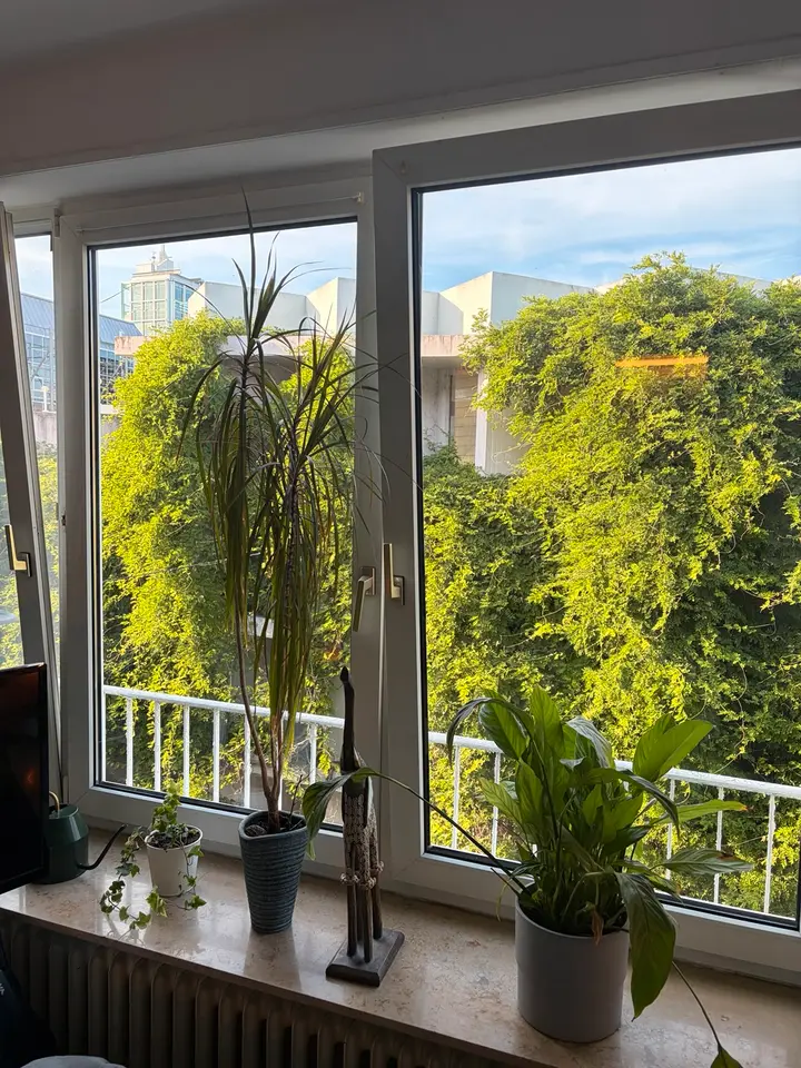 Studio mit 30 m² in Mannheim – Bild 10
