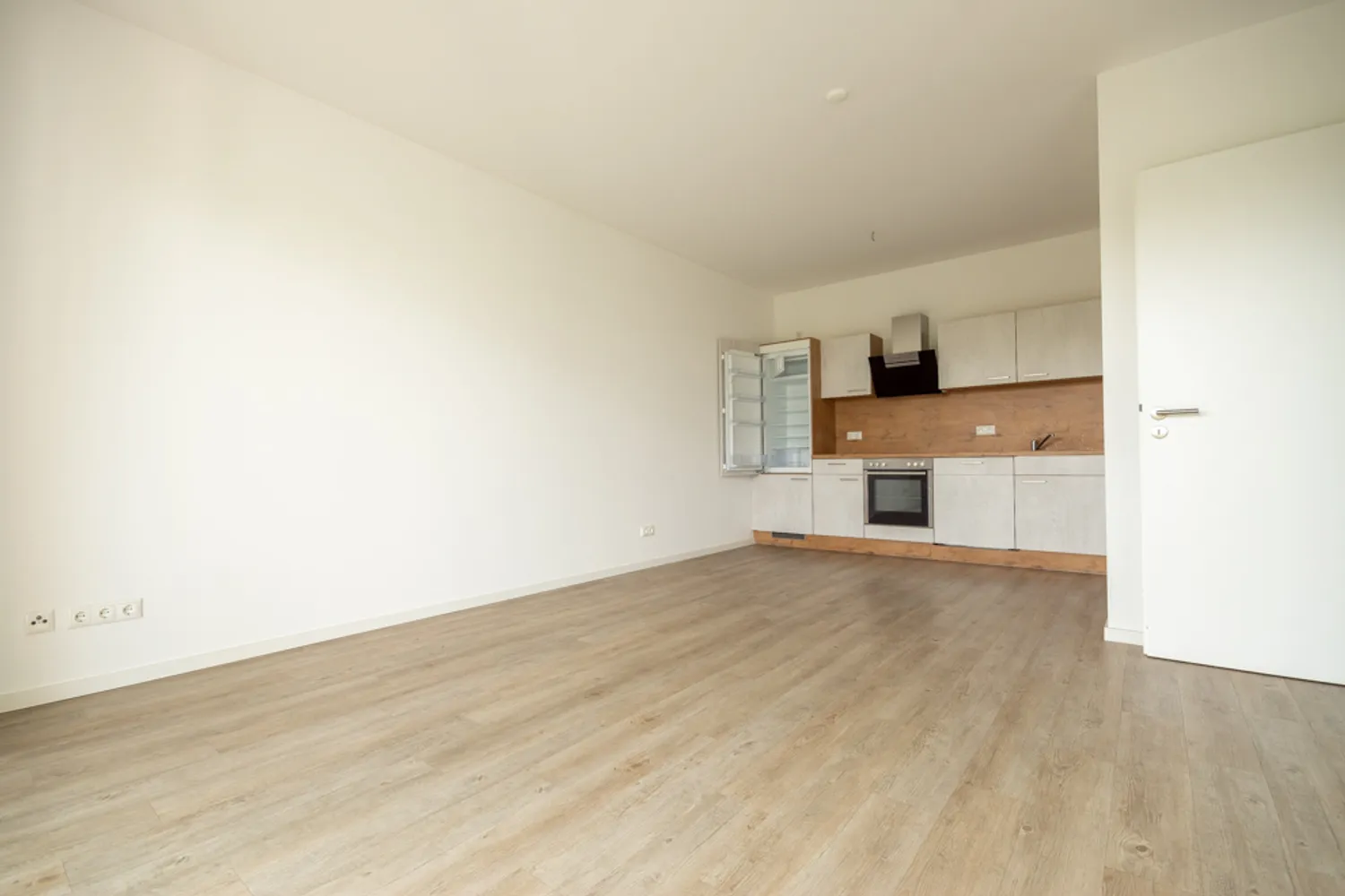 2 room apartment with 56 m² in Dresden – Photo 9