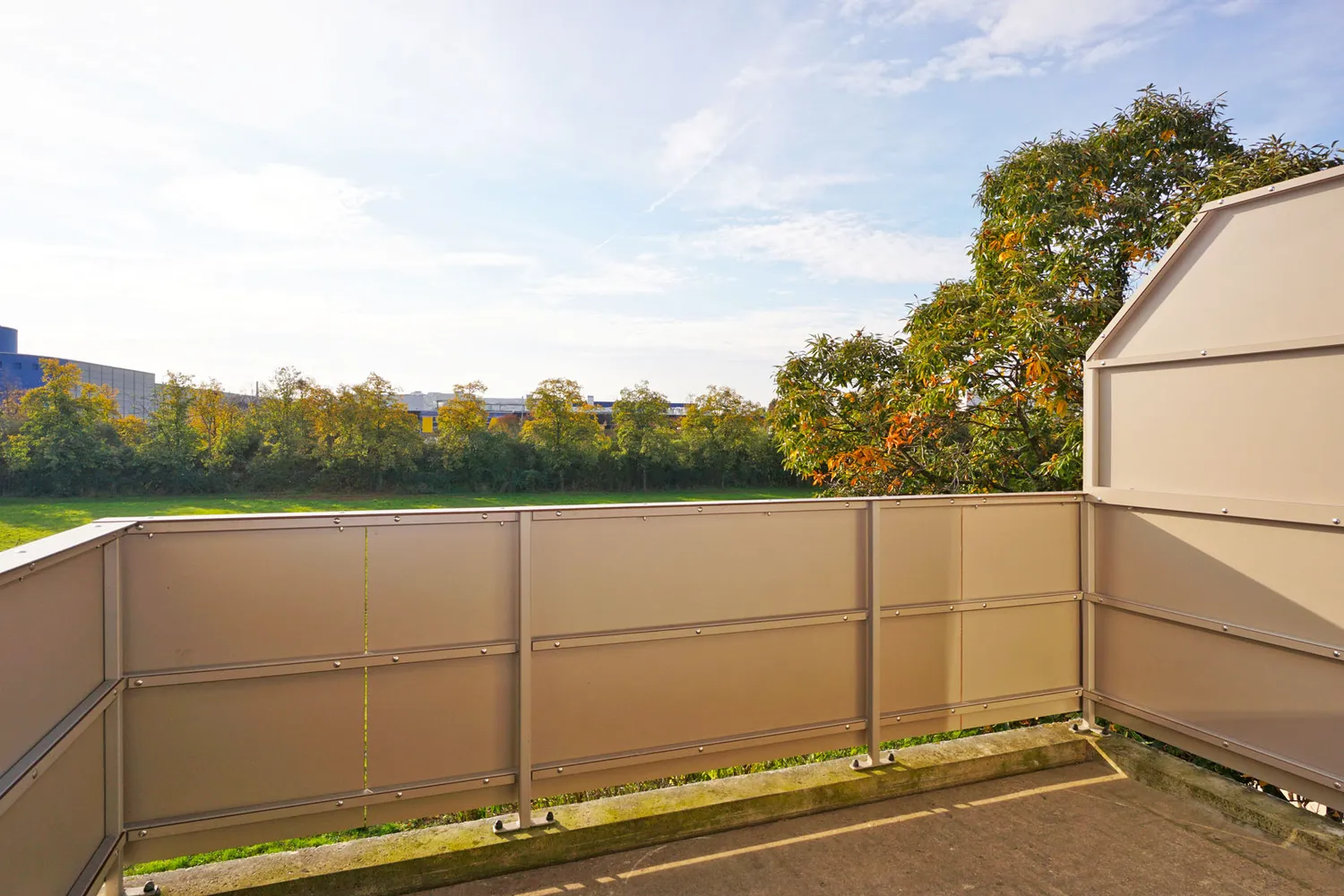 3 room apartment with 81 m² in Dresden – Photo 5