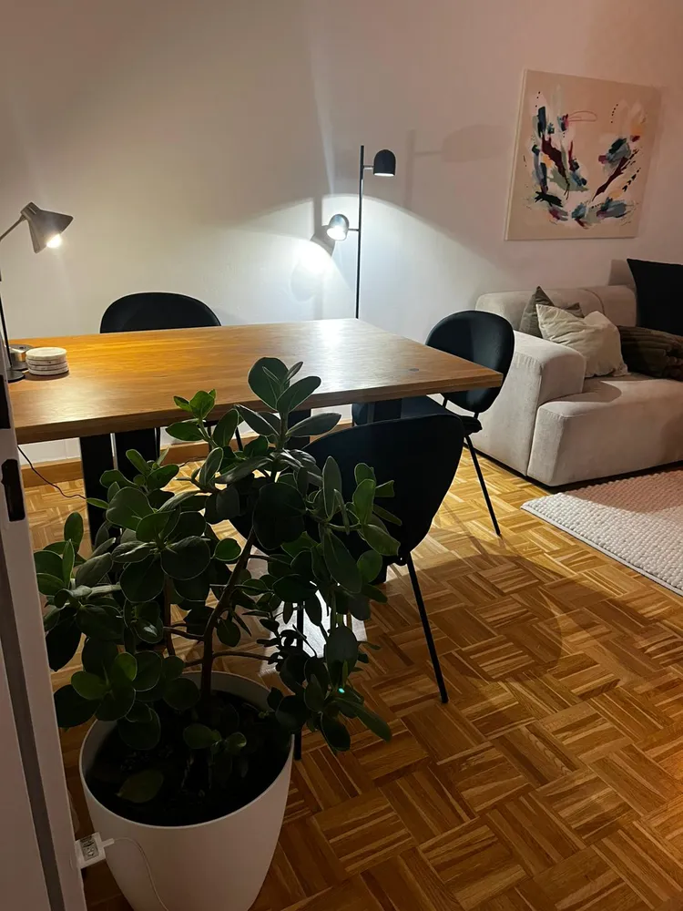 2 Zimmer Wohnung mit 50 m² in Bonn – Bild 7