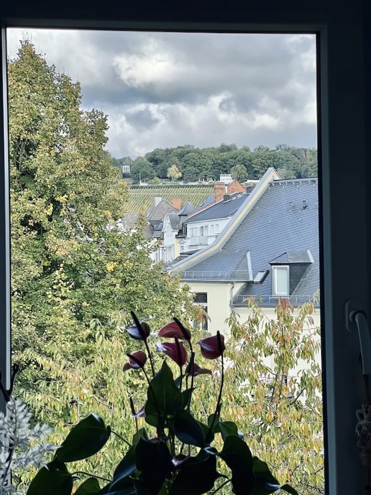 3 Zimmer Wohnung mit 75 m² in Wiesbaden – Bild 8