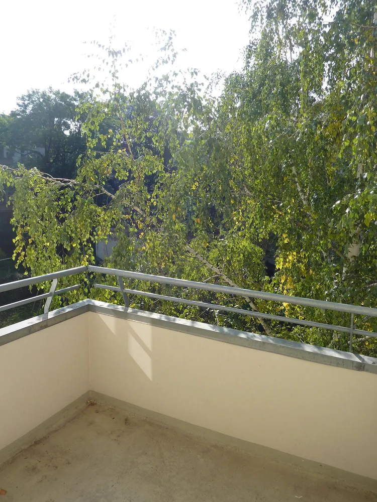 4 Zimmer Wohnung mit 121 m² in Leipzig – Bild 2