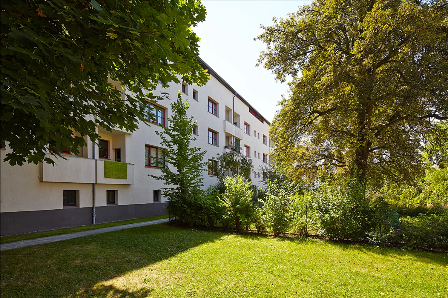 3 room apartment with 61 m² in Magdeburg – Photo 3