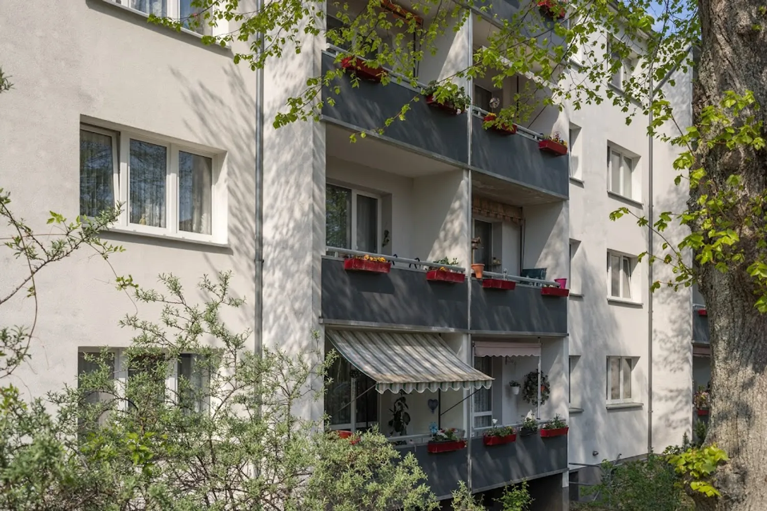 2 Zimmer Wohnung mit 48 m² in Naumburg (Saale) – Bild 2
